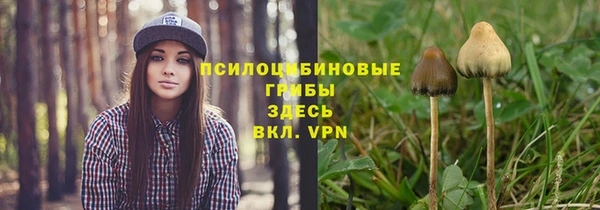 мяу мяу мука Богородицк