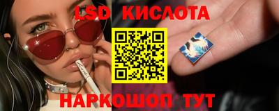 шишки Краснознаменск
