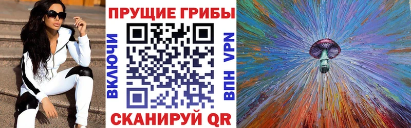 Галлюциногенные грибы Psilocybe Бутурлиновка