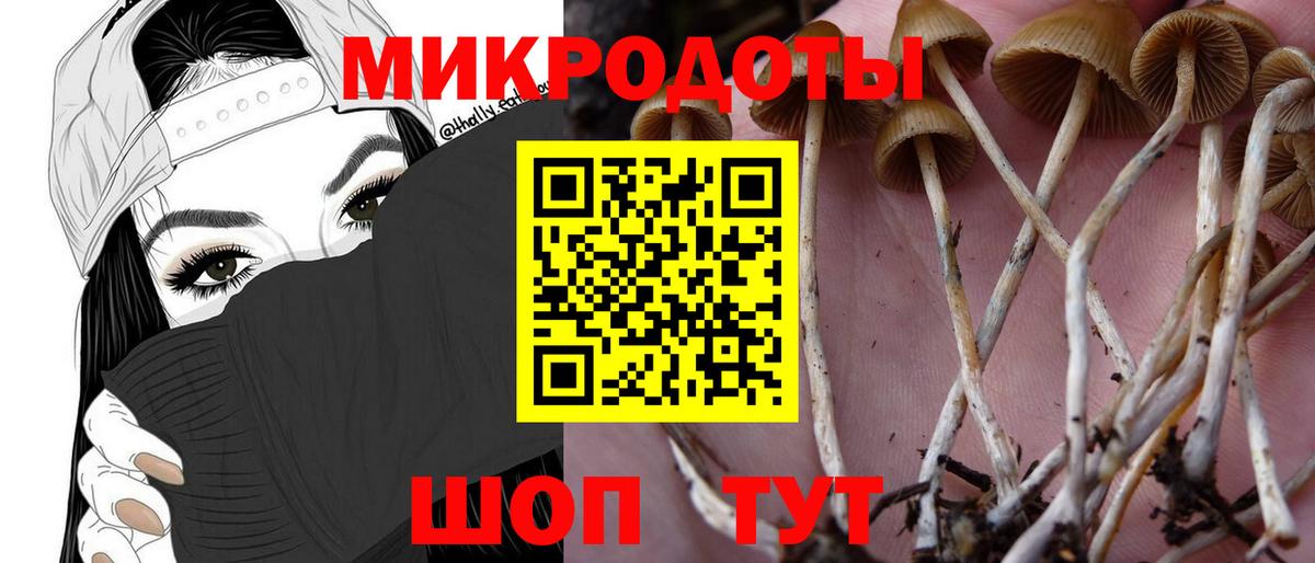 Бутурлиновка  Псилоцибиновые грибы GOLDEN TEACHER  Вход с VPN 