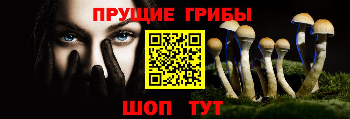 Галлюциногенные грибы GOLDEN TEACHER Бутурлиновка